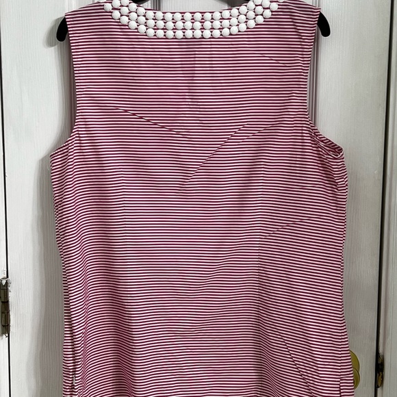 Ann Taylor pink and white striped beaded collar sleeveless shirt . Size 14 - Picture 3 of 6
